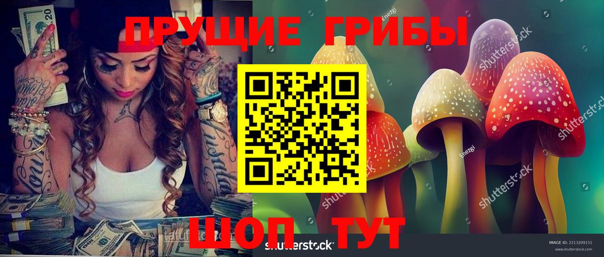 Псилоцибиновые грибы MAGIC MUSHROOMS Кольчугино
